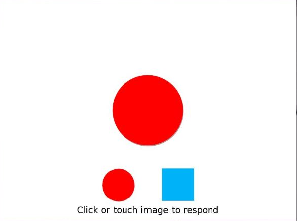Bivalent Shape Task screenshot