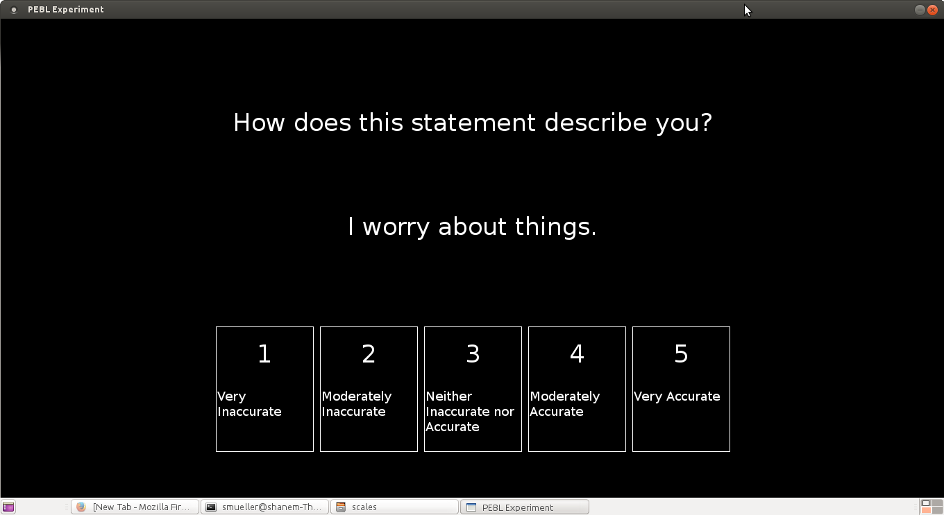 Big Five Personality Inventory screenshot