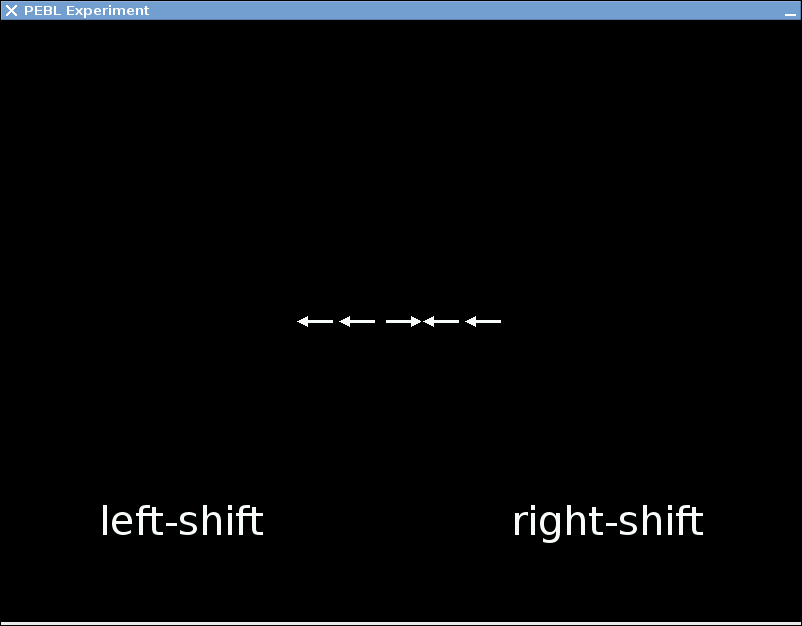 Flanker Task screenshot